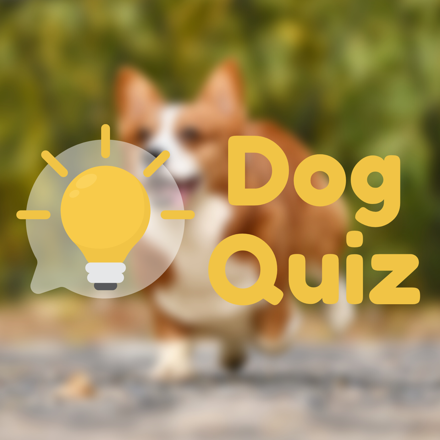 the-ultimate-dog-breed-quiz-can-you-get-all-12-right